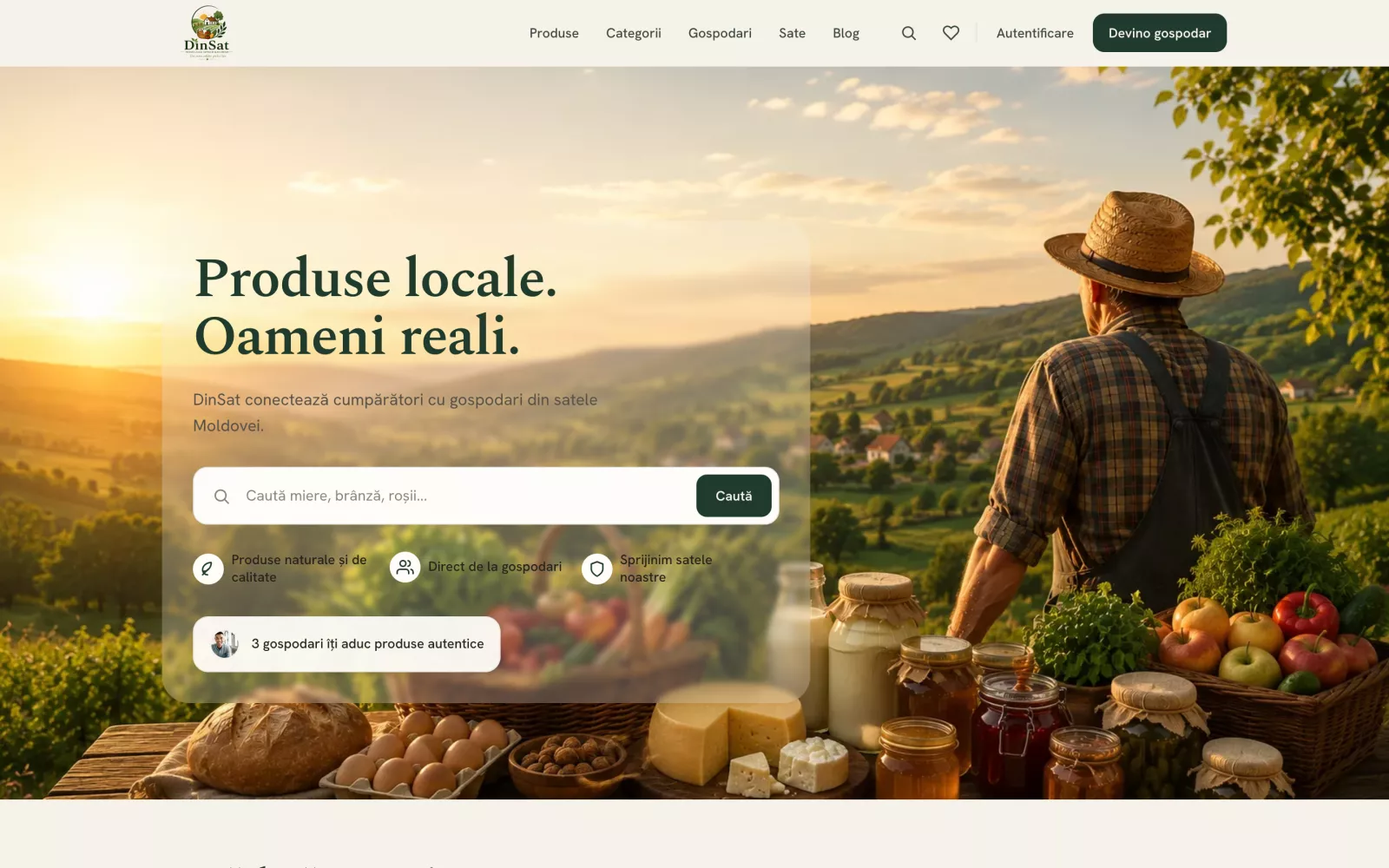 DinSat.md website, desktop view
